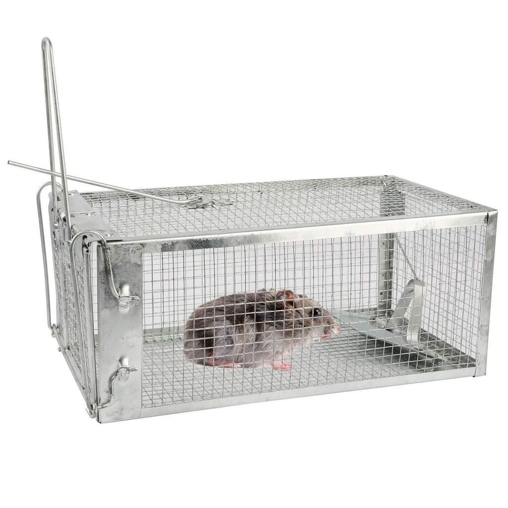 Rat Trap Cage Humane Live Rodent