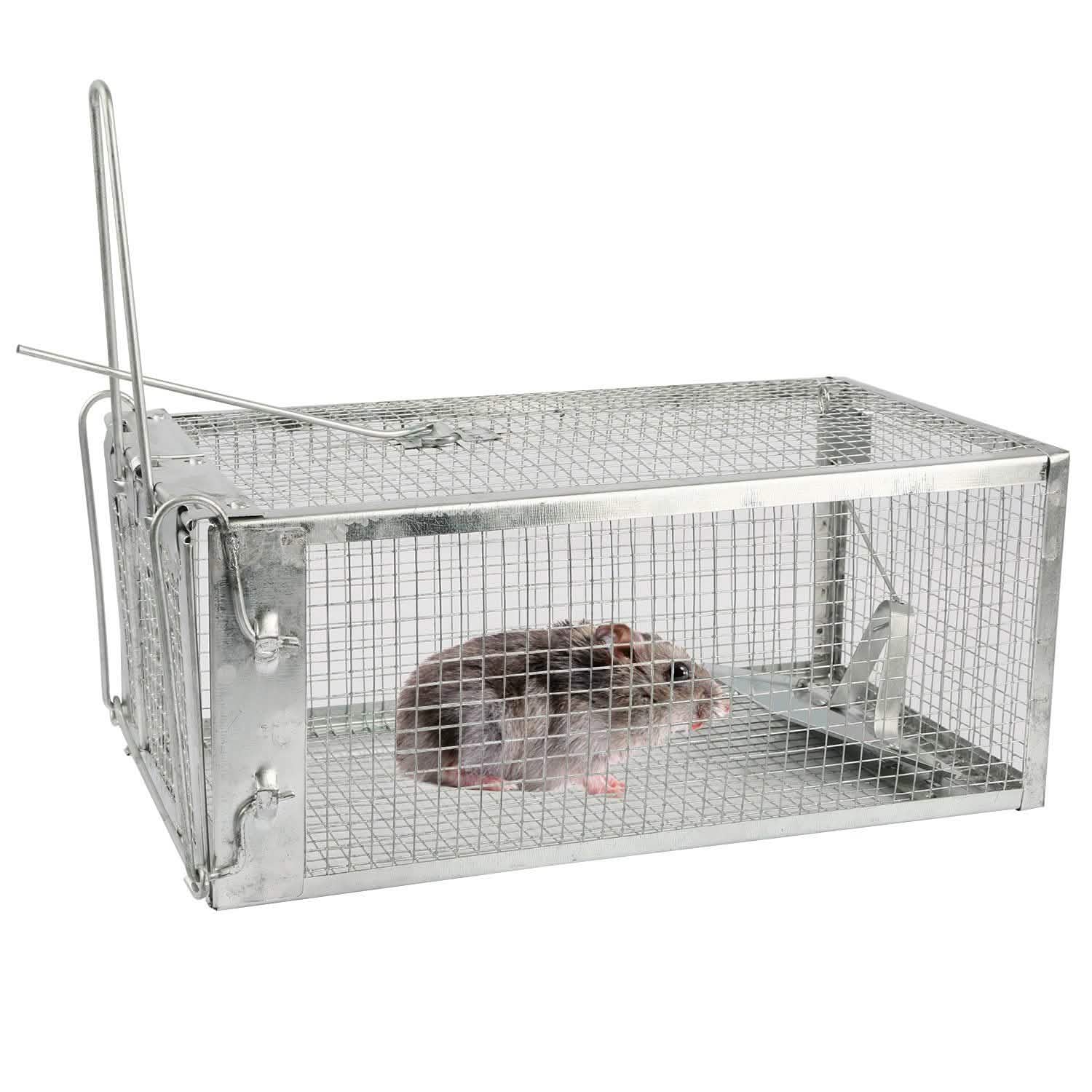 Rat Trap Cage Humane Live Rodent