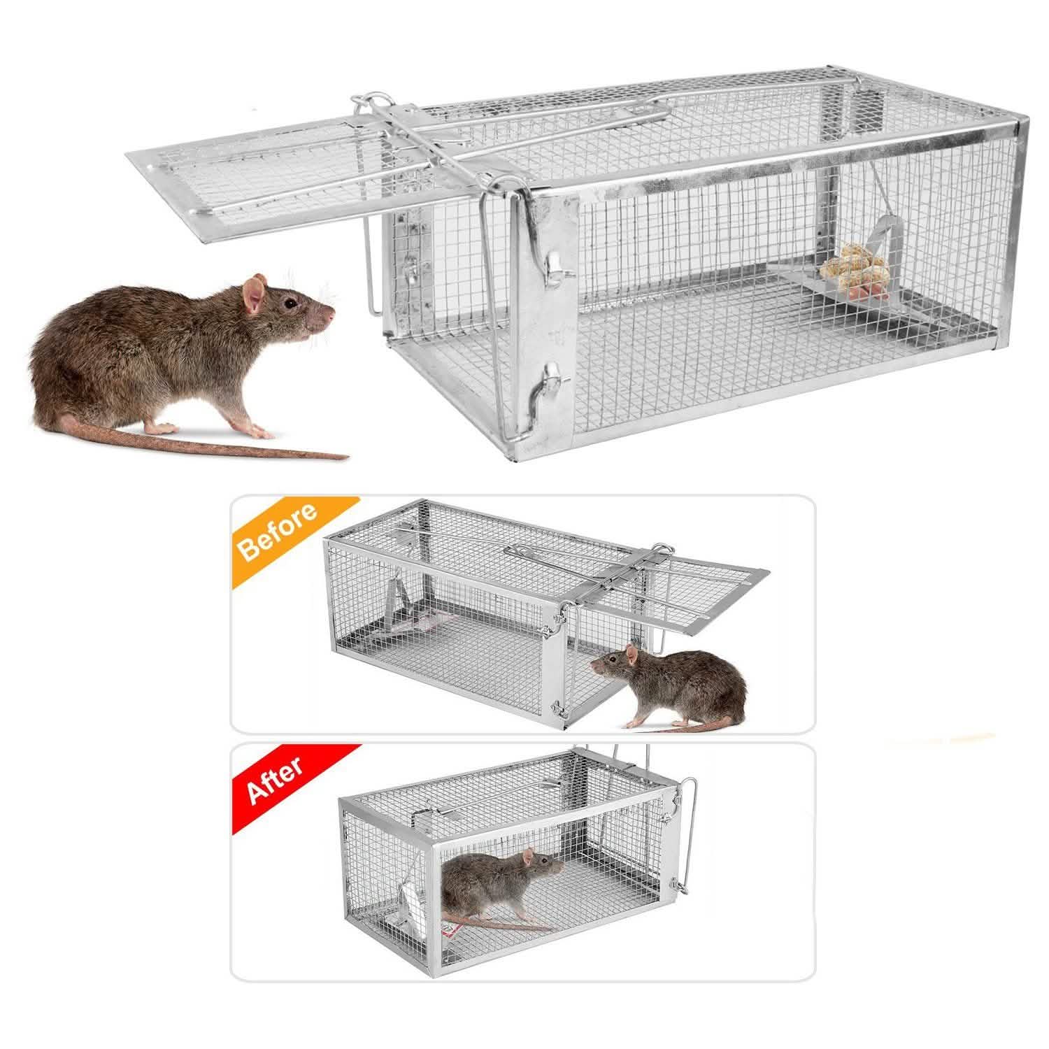 Rat Trap Cage Humane Live Rodent