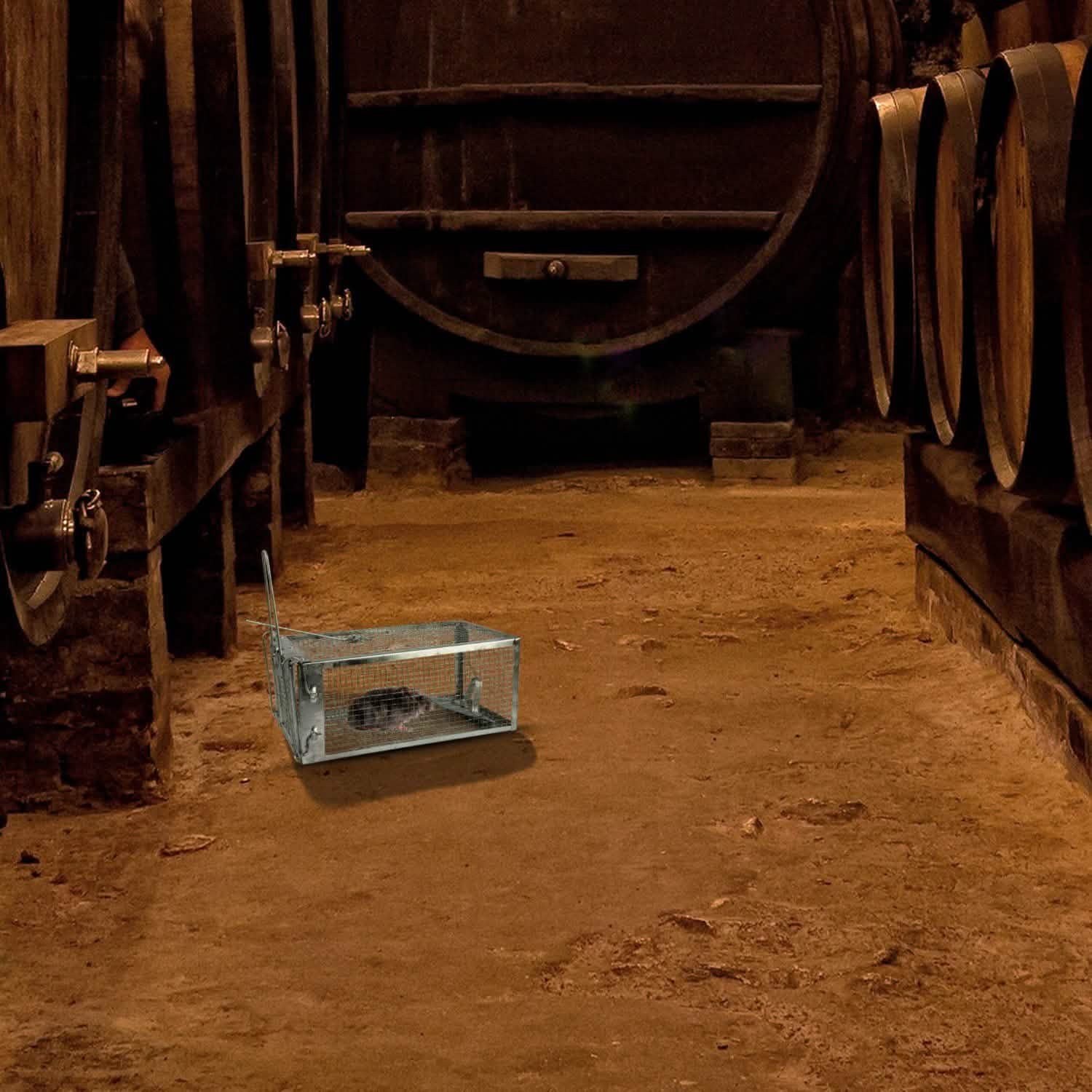 Rat Trap Cage Humane Live Rodent