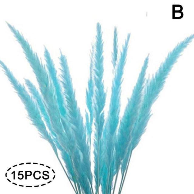 Real Dried Grass Reed Flower Natural Dry Small Bulrush Bouquet Pampas Reeds Home Decoration Wedding Decor Pompass Grass Branches for Vase Artificial Grass Room Décor Wedding Decorations