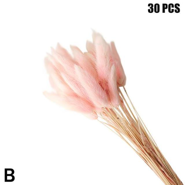 Real Dried Grass Reed Flower Natural Dry Small Bulrush Bouquet Pampas Reeds Home Decoration Wedding Decor Pompass Grass Branches for Vase Artificial Grass Room Décor Wedding Decorations