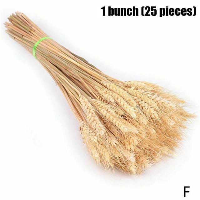 Real Dried Grass Reed Flower Natural Dry Small Bulrush Bouquet Pampas Reeds Home Decoration Wedding Decor Pompass Grass Branches for Vase Artificial Grass Room Décor Wedding Decorations