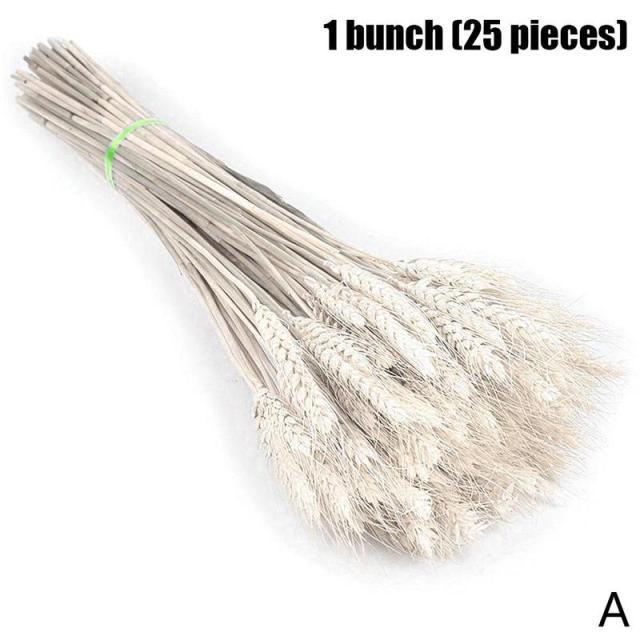 Real Dried Grass Reed Flower Natural Dry Small Bulrush Bouquet Pampas Reeds Home Decoration Wedding Decor Pompass Grass Branches for Vase Artificial Grass Room Décor Wedding Decorations