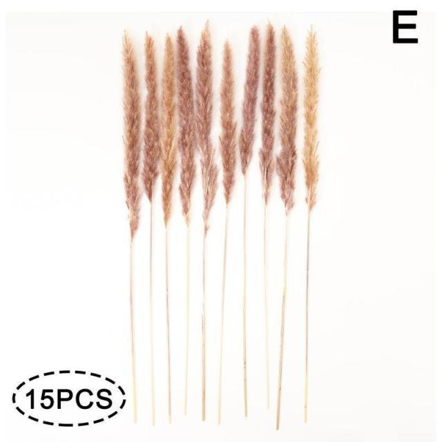 Real Dried Grass Reed Flower Natural Dry Small Bulrush Bouquet Pampas Reeds Home Decoration Wedding Decor Pompass Grass Branches for Vase Artificial Grass Room Décor Wedding Decorations