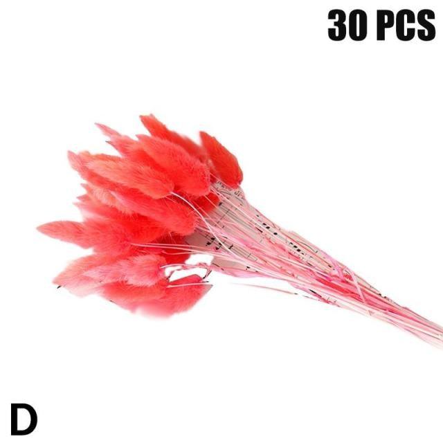 Real Dried Grass Reed Flower Natural Dry Small Bulrush Bouquet Pampas Reeds Home Decoration Wedding Decor Pompass Grass Branches for Vase Artificial Grass Room Décor Wedding Decorations