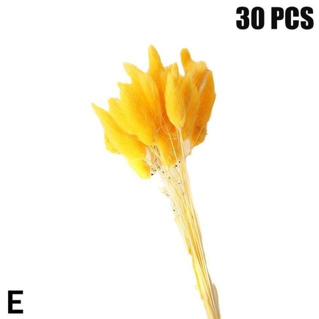 Real Dried Grass Reed Flower Natural Dry Small Bulrush Bouquet Pampas Reeds Home Decoration Wedding Decor Pompass Grass Branches for Vase Artificial Grass Room Décor Wedding Decorations