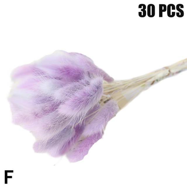 Real Dried Grass Reed Flower Natural Dry Small Bulrush Bouquet Pampas Reeds Home Decoration Wedding Decor Pompass Grass Branches for Vase Artificial Grass Room Décor Wedding Decorations