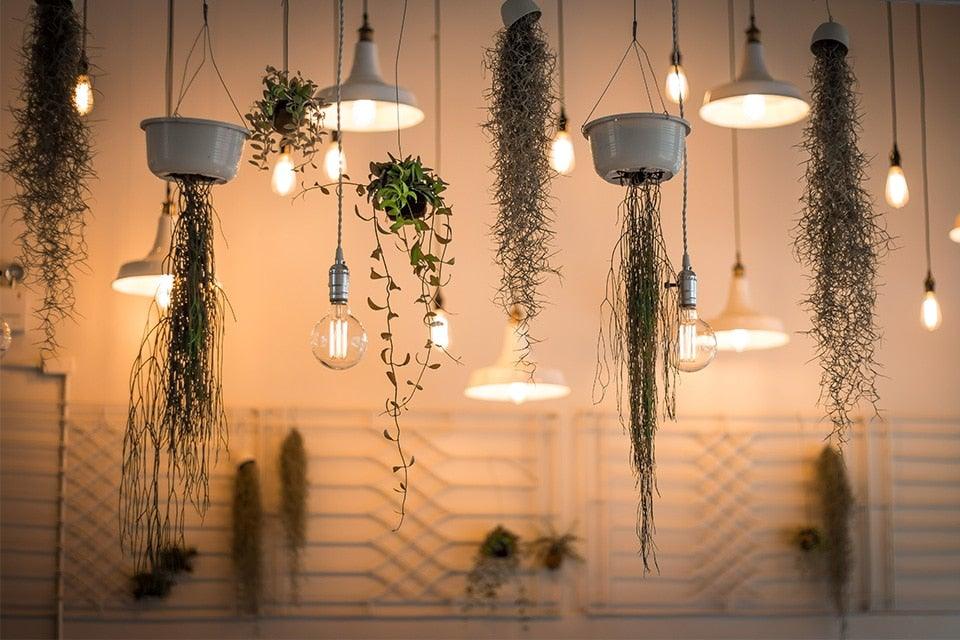 Retro Edison Light Bulb Vintage Edison Lamp Vintage Incandescent  Edison Light Bulbs Edison Filament Light Bulb Dimmable Warm White Different Shape Light