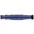 Running Belt Special Edition Waist Pack and Phone Holder