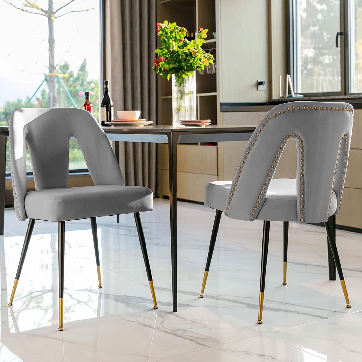 Set of 2: Modern Dining Chairs