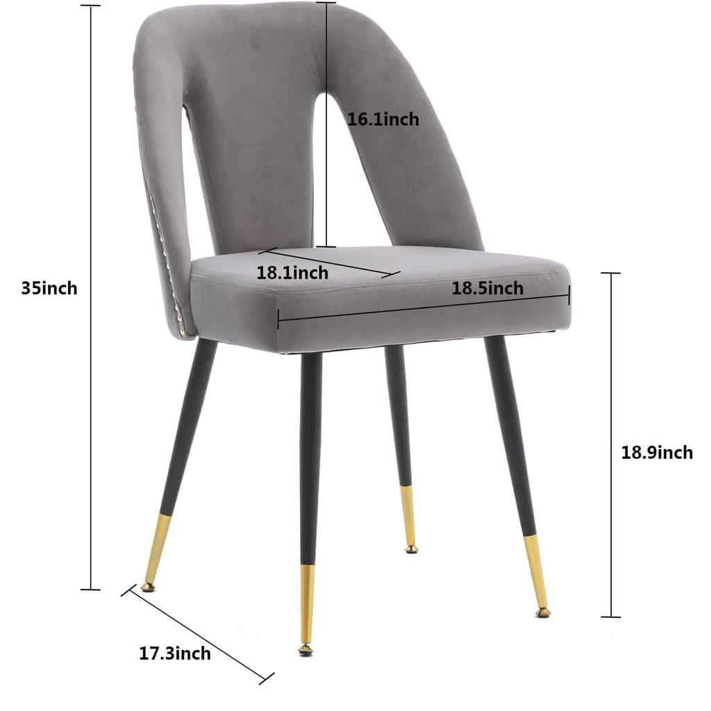 Set of 2: Modern Dining Chairs