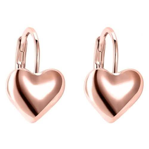 Sleek Heart Shaped Leverback Earrings
