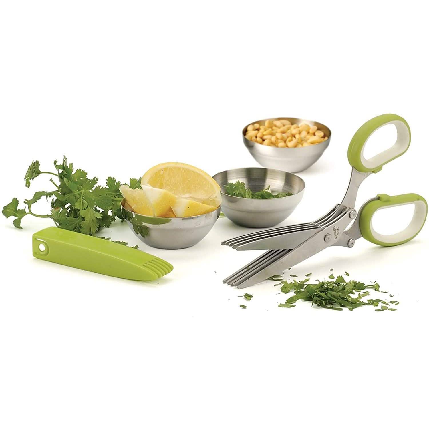 Stainless Steel 5 Blade Herb Scissors