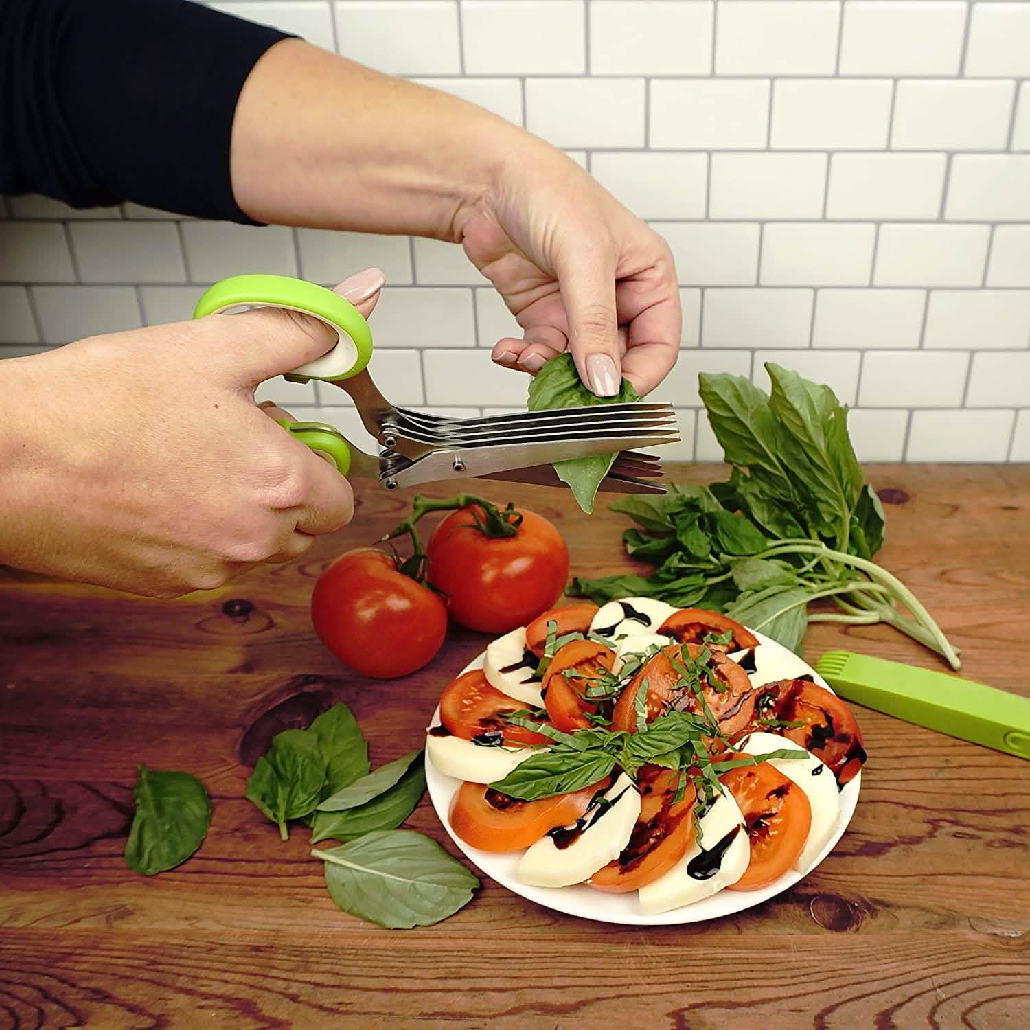 Stainless Steel 5 Blade Herb Scissors