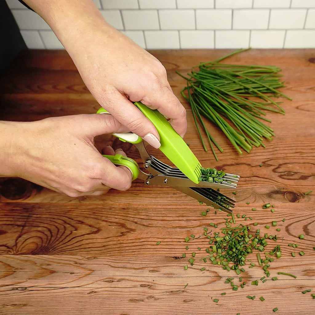 Stainless Steel 5 Blade Herb Scissors