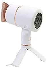 Stand-up Hair Dryer
