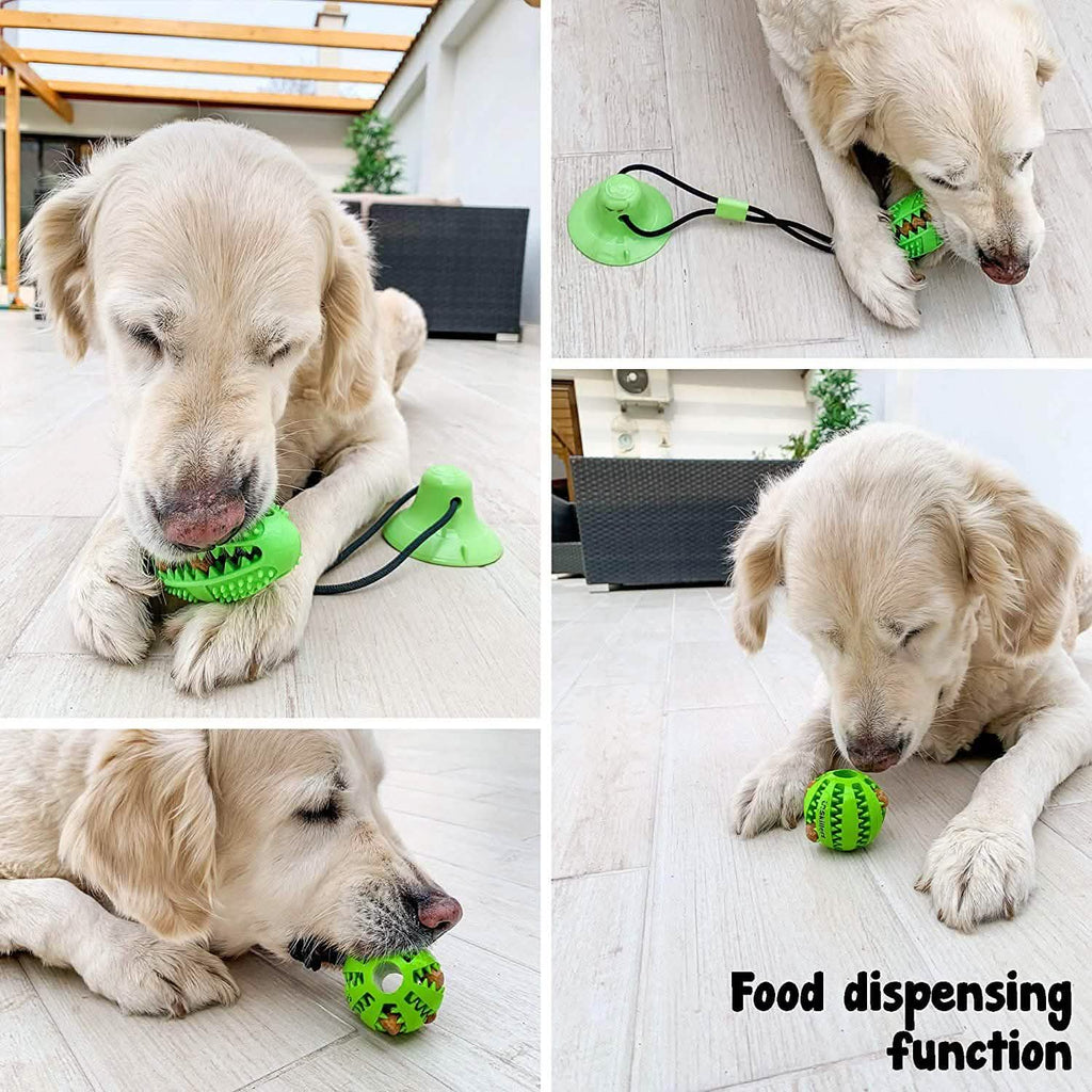 Suction Cup and Play IQ Toy Treat Ball