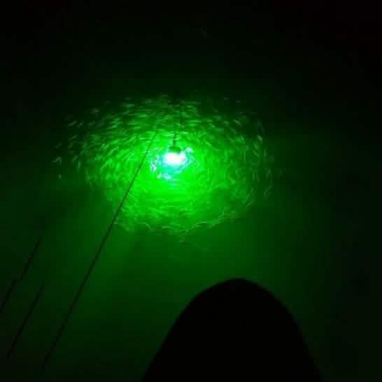 Sunbeam LED Fishing Light