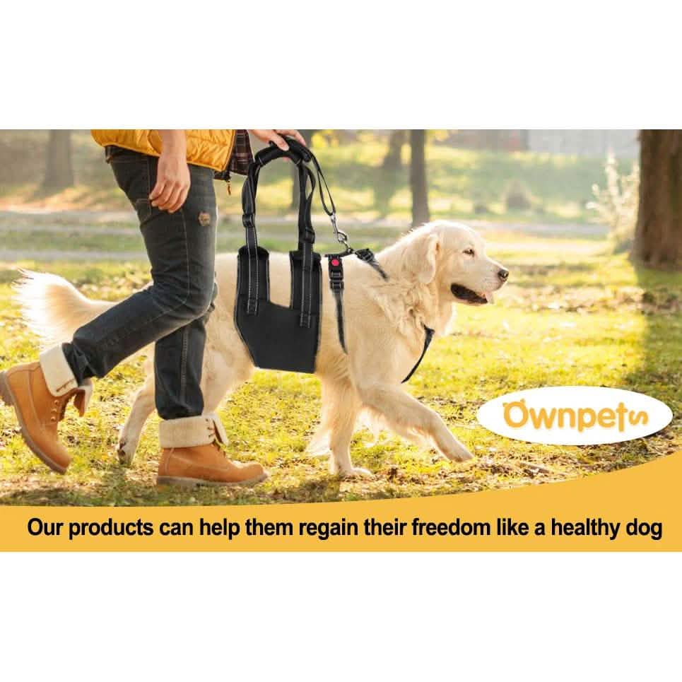 Support Harness Set Adjustable Chest Sling Strap for Elderly Disable Dog
