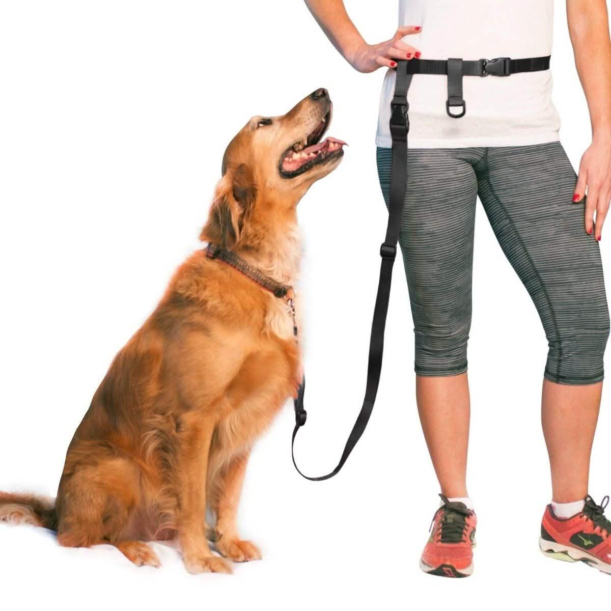 The Buddy System Adjustable Hands Free Dog Leash