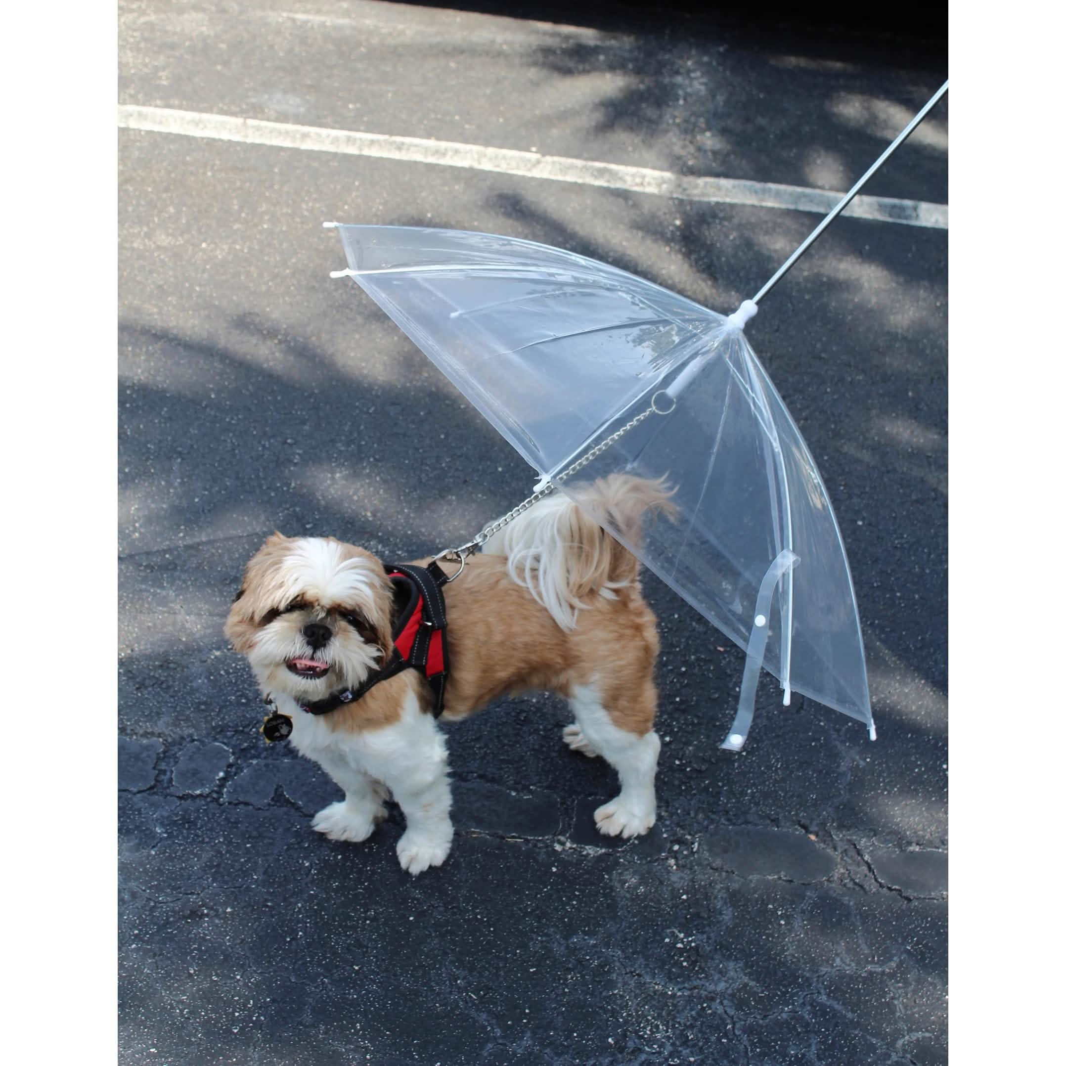 Transparent Outdoor Dog or Puppy Umbrella with Chain Leash