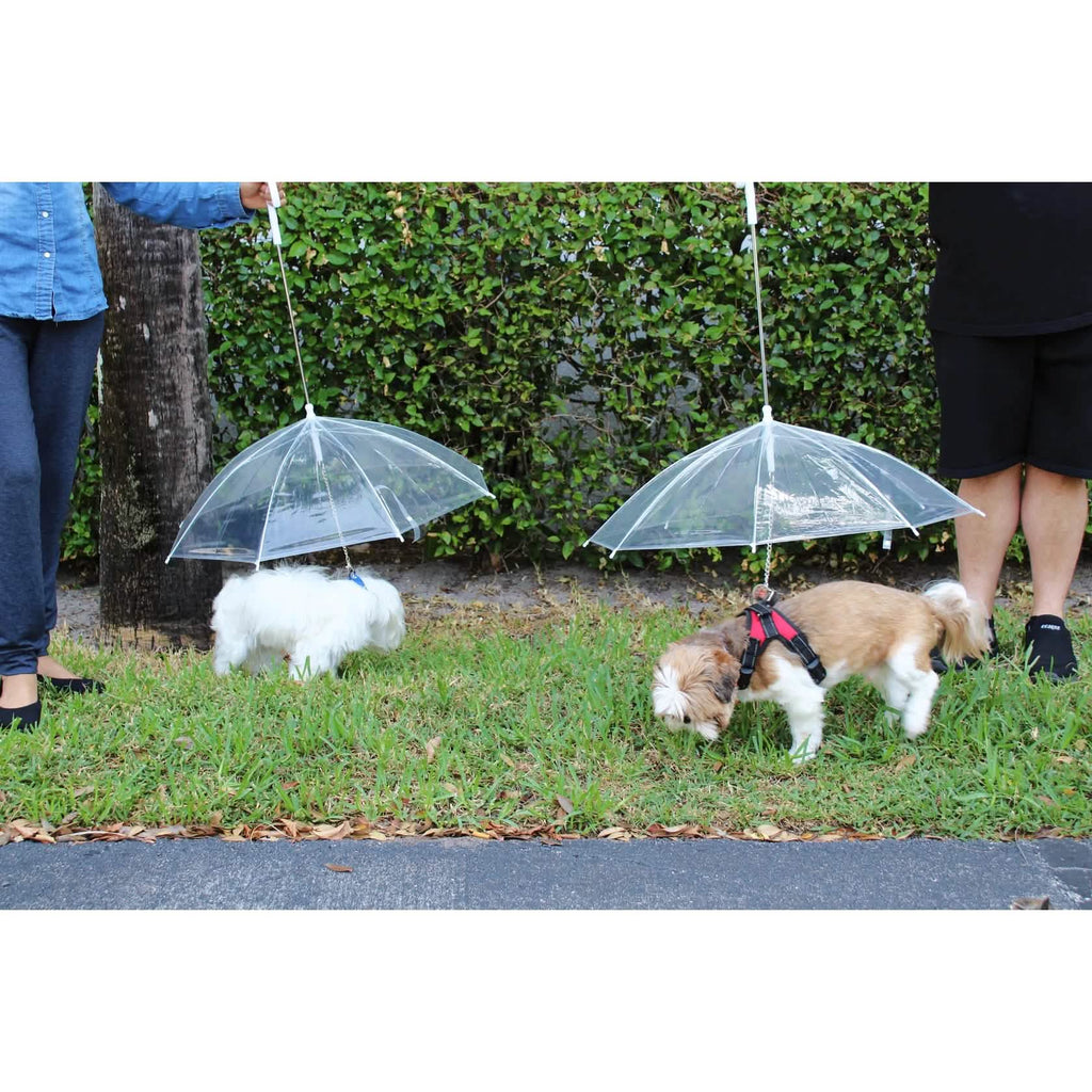 Transparent Outdoor Dog or Puppy Umbrella with Chain Leash