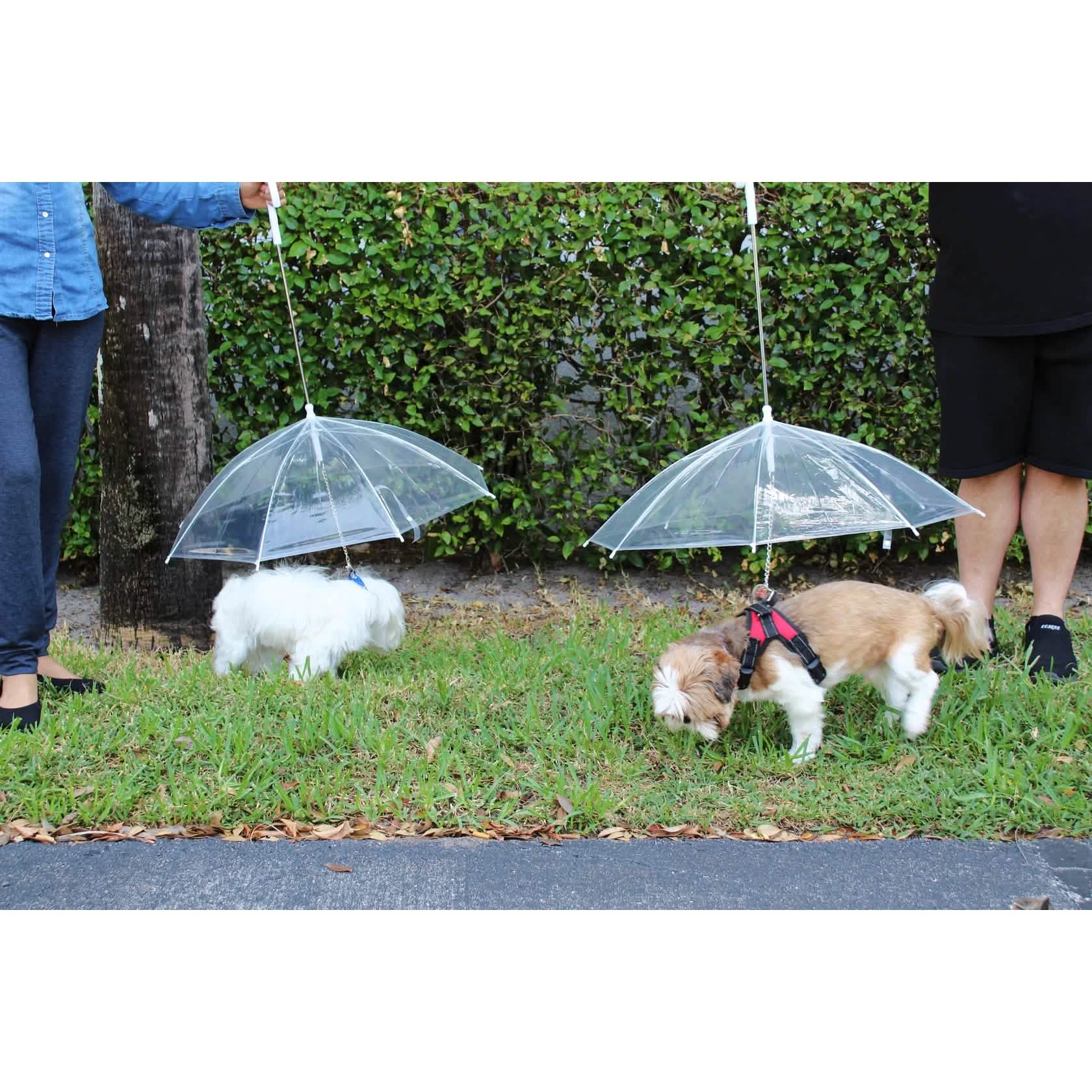 Transparent Outdoor Dog or Puppy Umbrella with Chain Leash