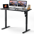 TTKK Electric Standing Desk