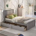 Twin Size Platform Bed with Two Drawers