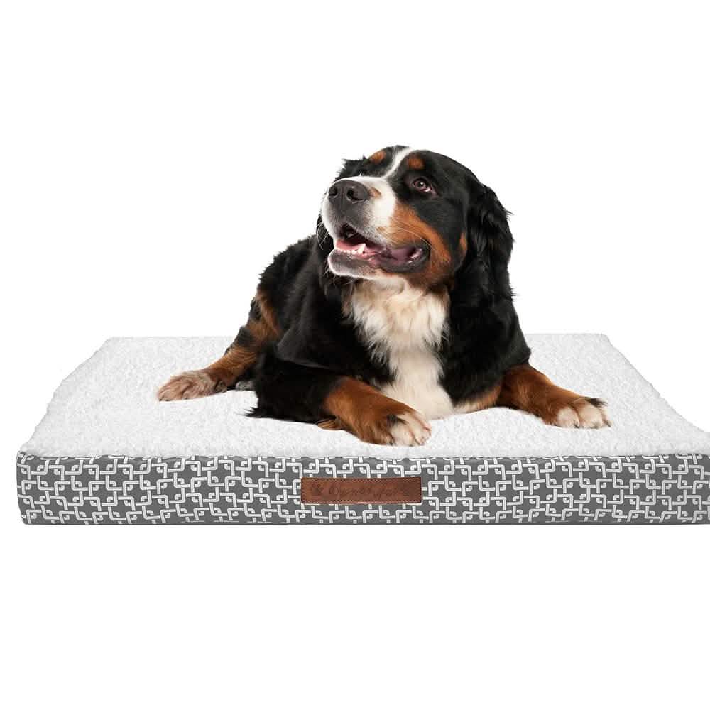 Wags & Whiskers Memory Foam Pet Bed - Assorted Styles