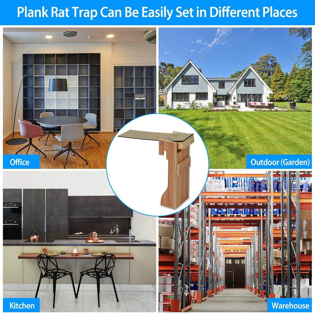 Walk the Plank Mouse Trap Reusable