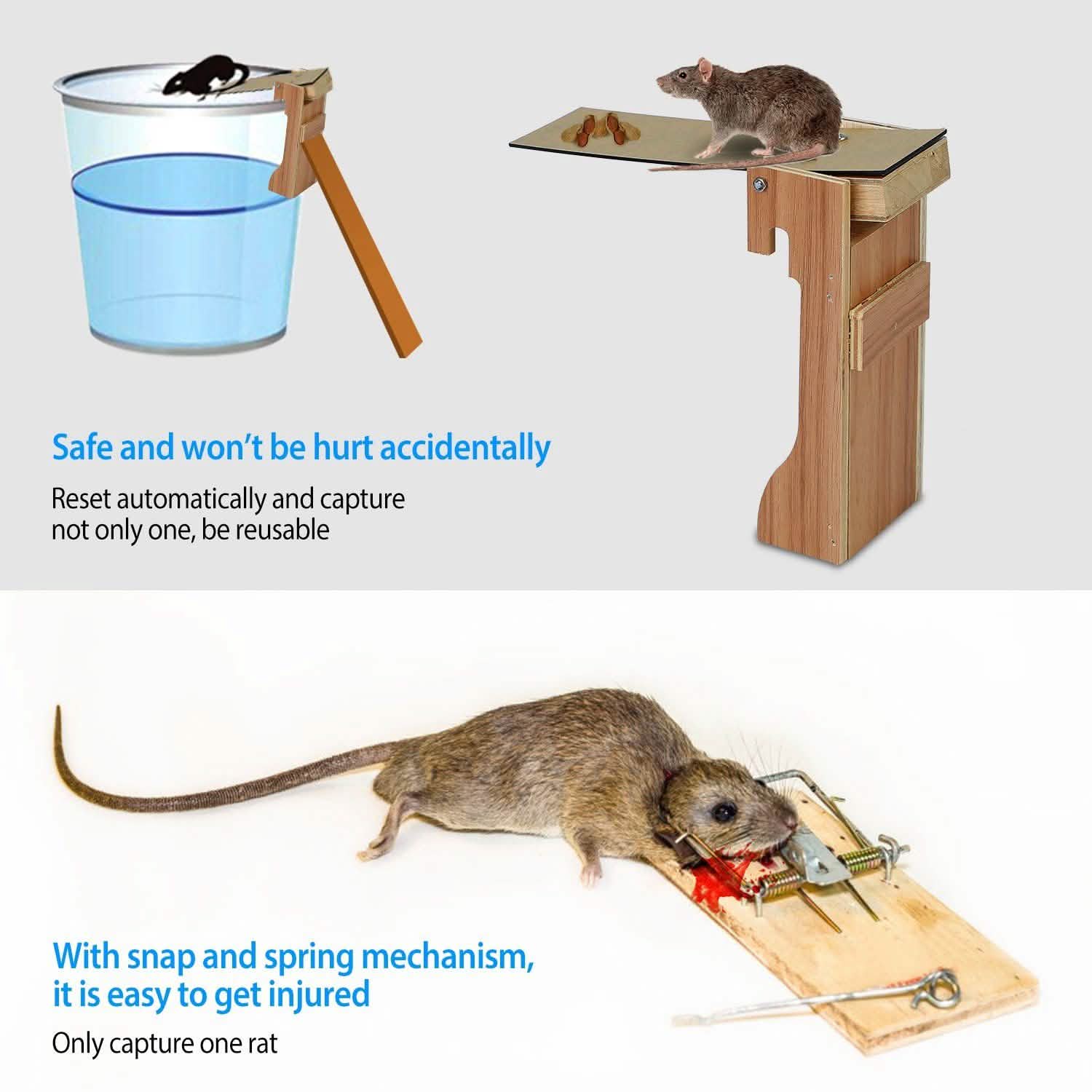 Walk the Plank Mouse Trap Reusable