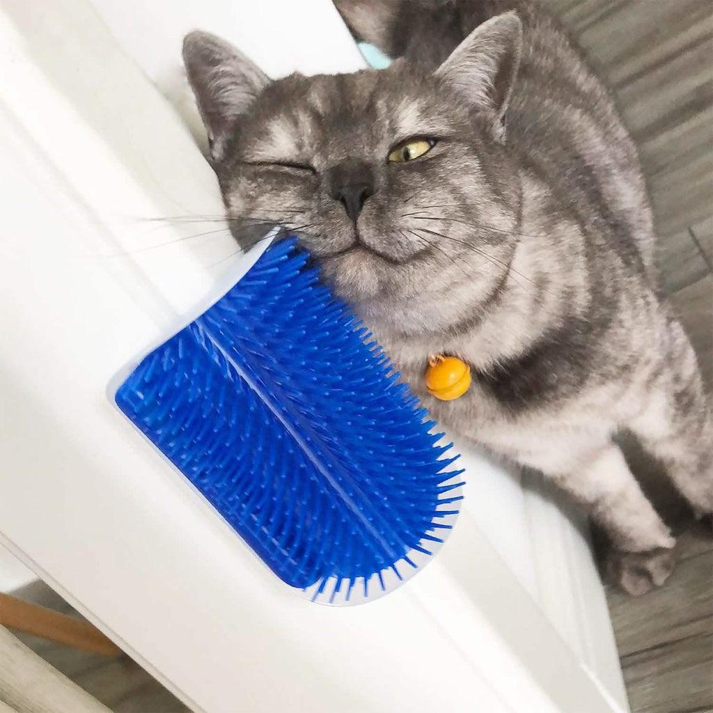 Wall Corner Massage Comb