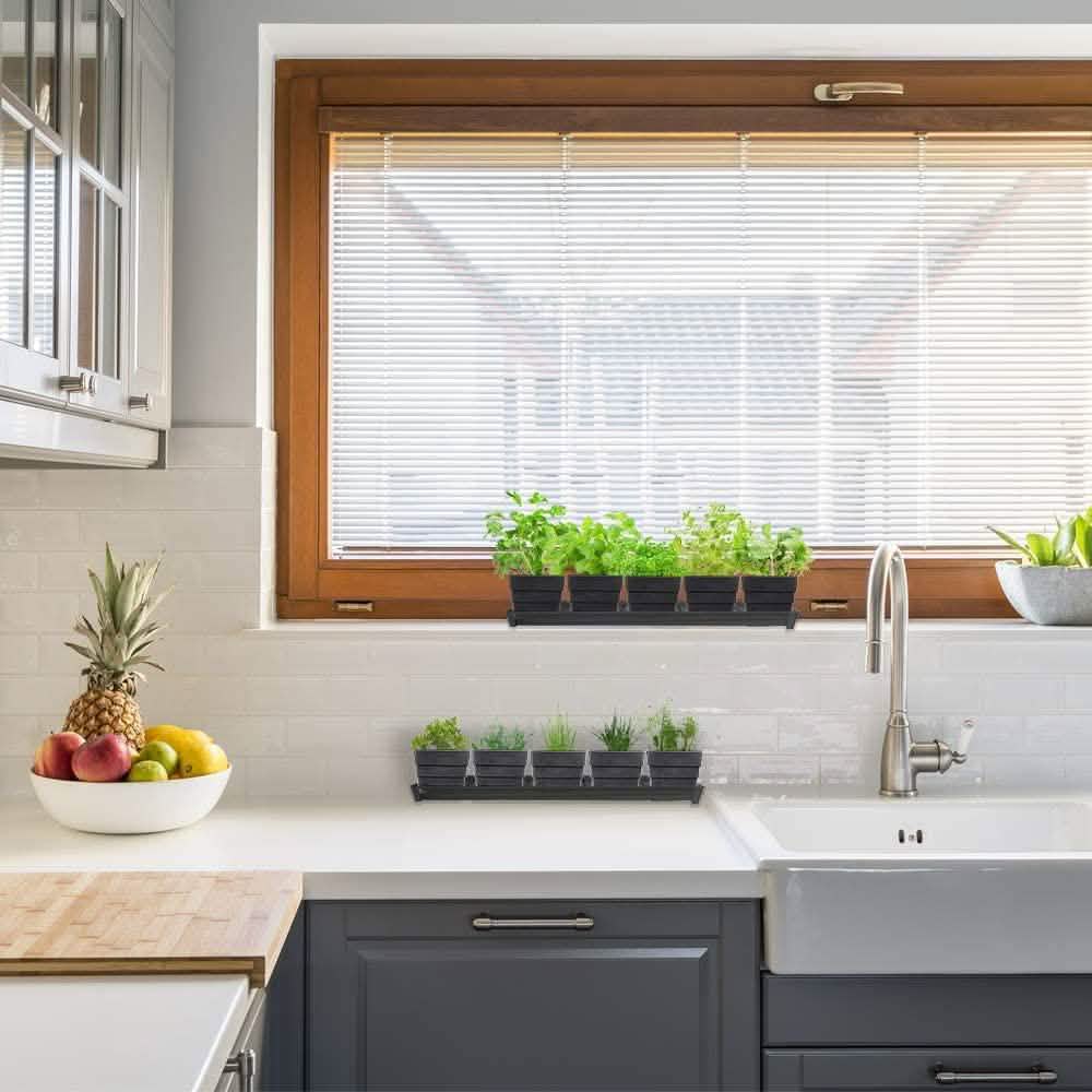 Windowsill Garden Herb Kit