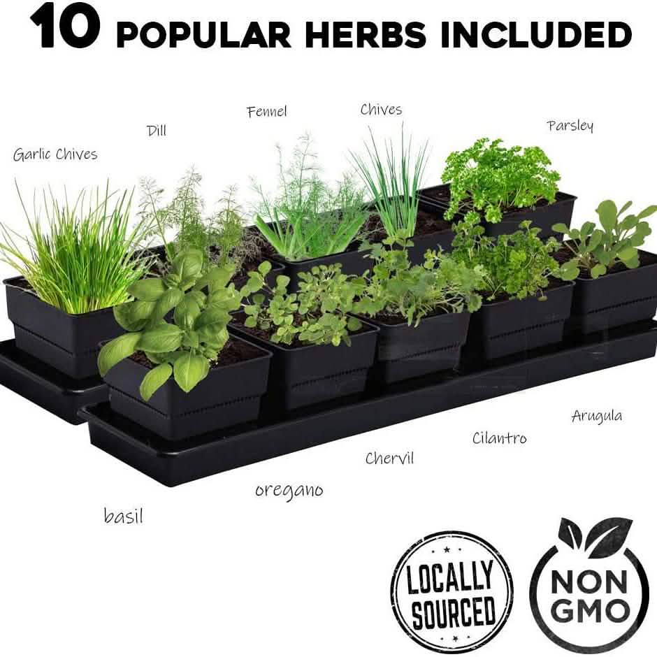 Windowsill Garden Herb Kit
