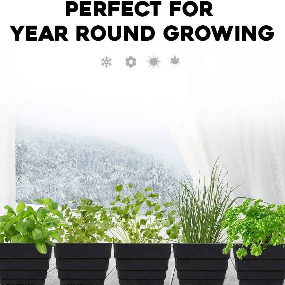 Windowsill Garden Herb Kit