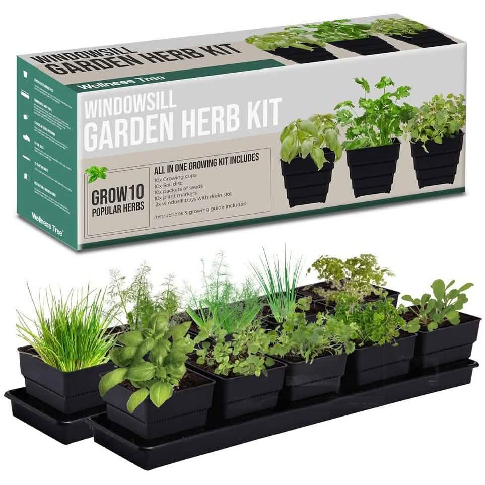 Windowsill Garden Herb Kit